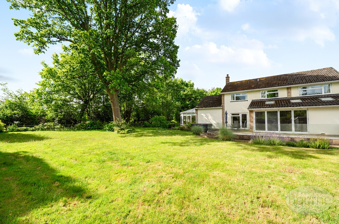 Silver Birches Way, Elstead, Godalming, Surrey, GU8, photo 4