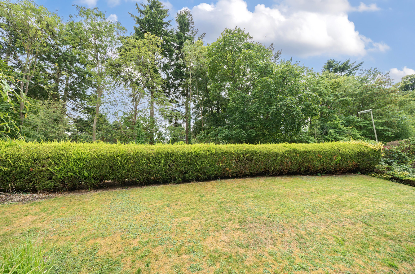 The Piccards, Chestnut Avenue, Guildford, Surrey, GU2, photo 17