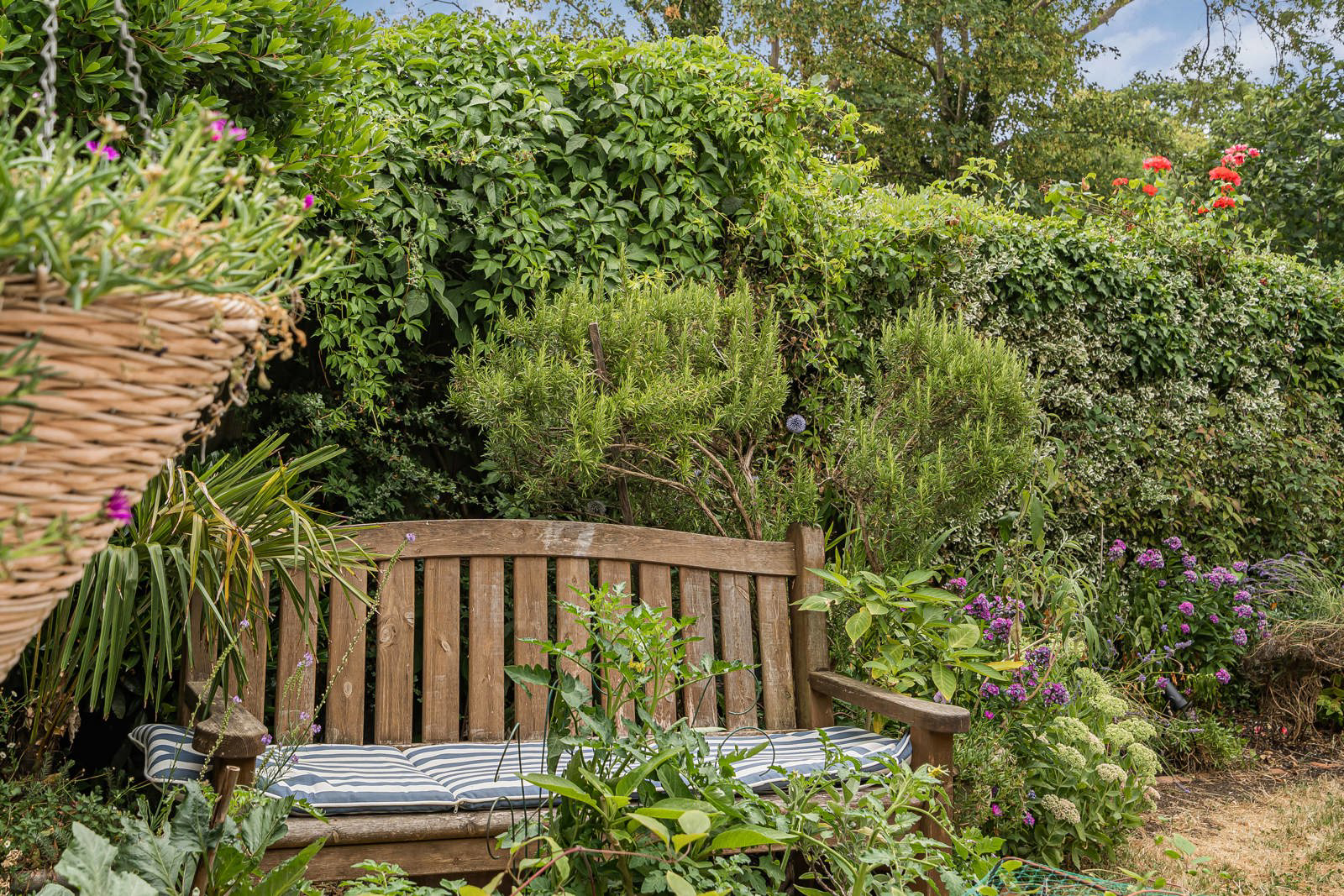Cater Gardens, Guildford, Surrey, GU3, photo 30