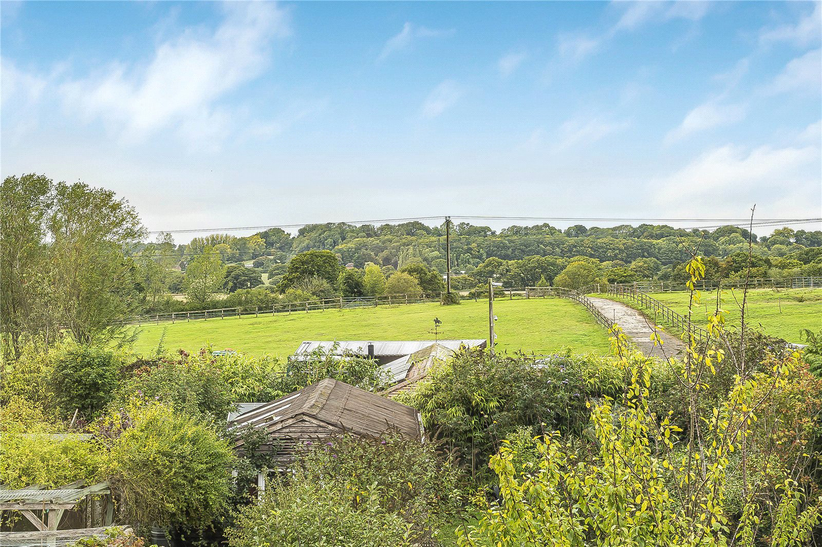 Forge Road, Kingsley, Bordon, Hampshire, GU35, photo 4