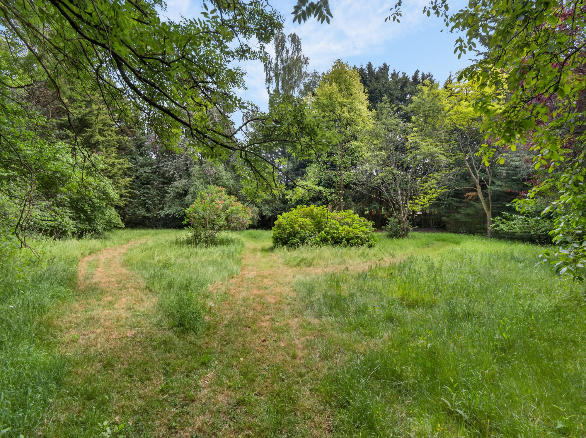 Private Forest