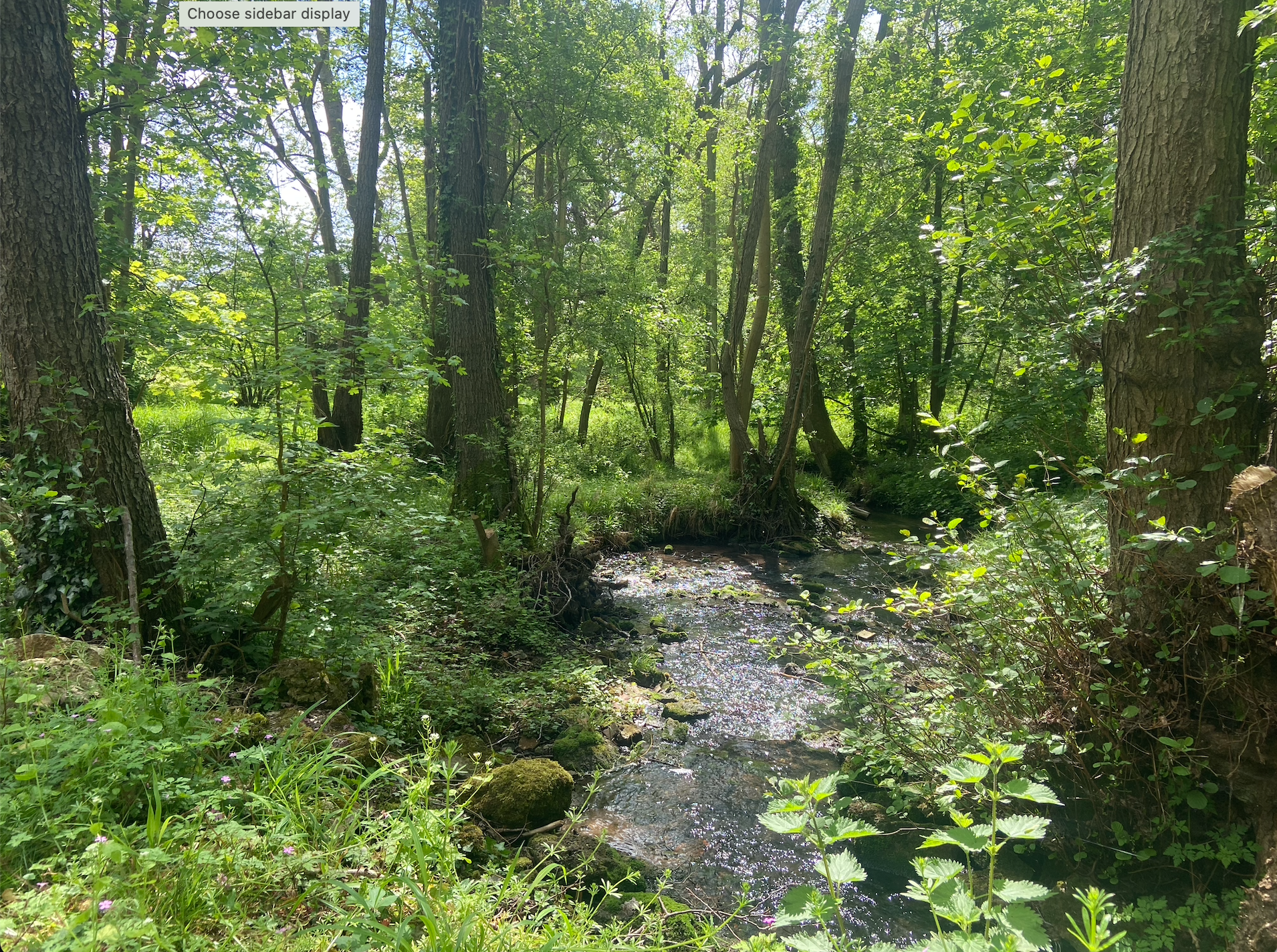 Church Lane, Dry Sandford, OX13, photo 30