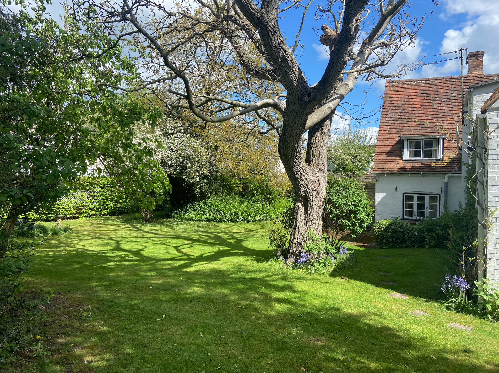 Wallingford Road, North Moreton, OX11, photo 16