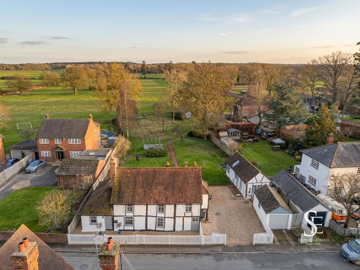 thatched golden aerial