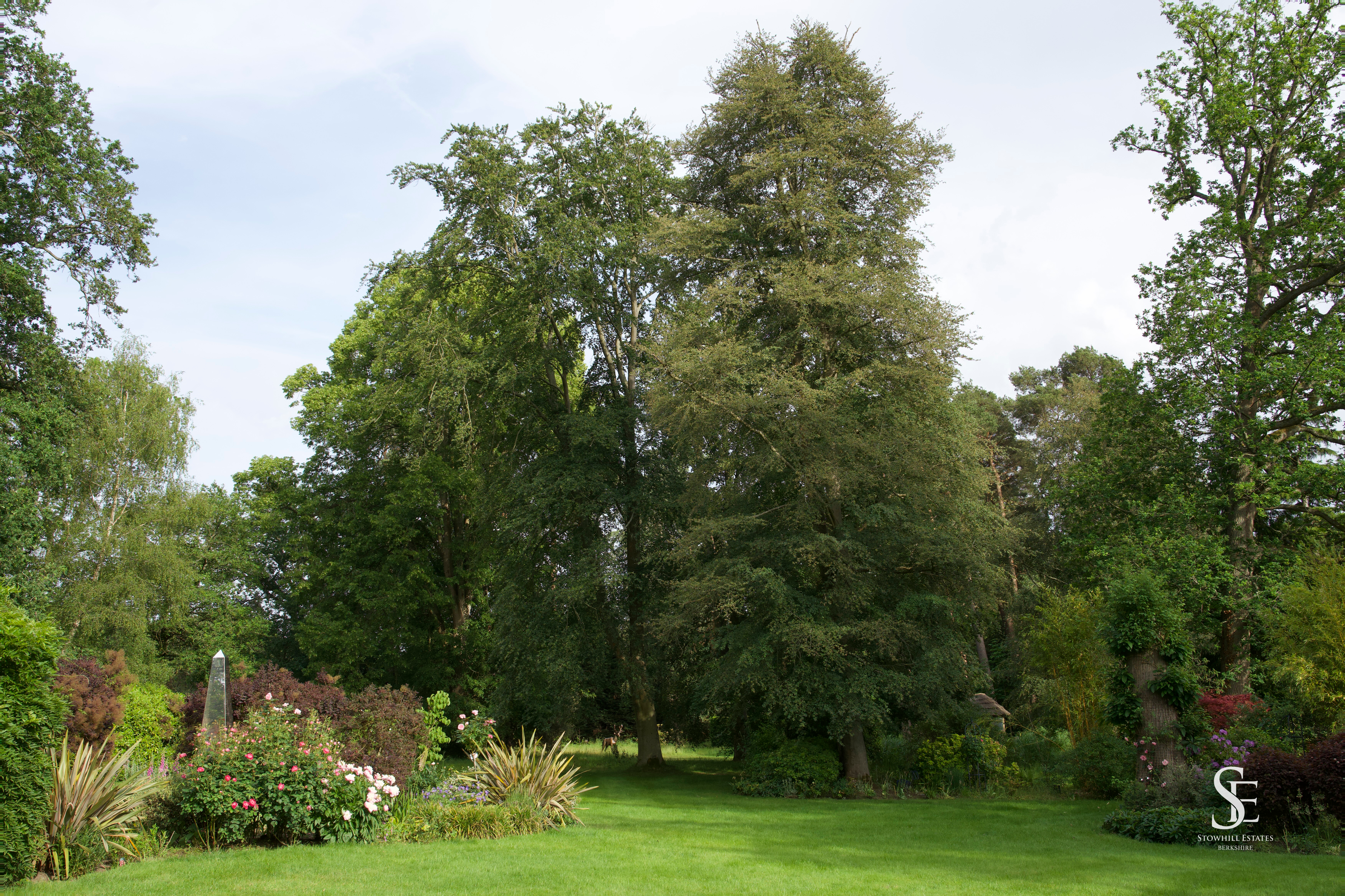 Fleet Hill, Finchampstead, RG40, photo 35