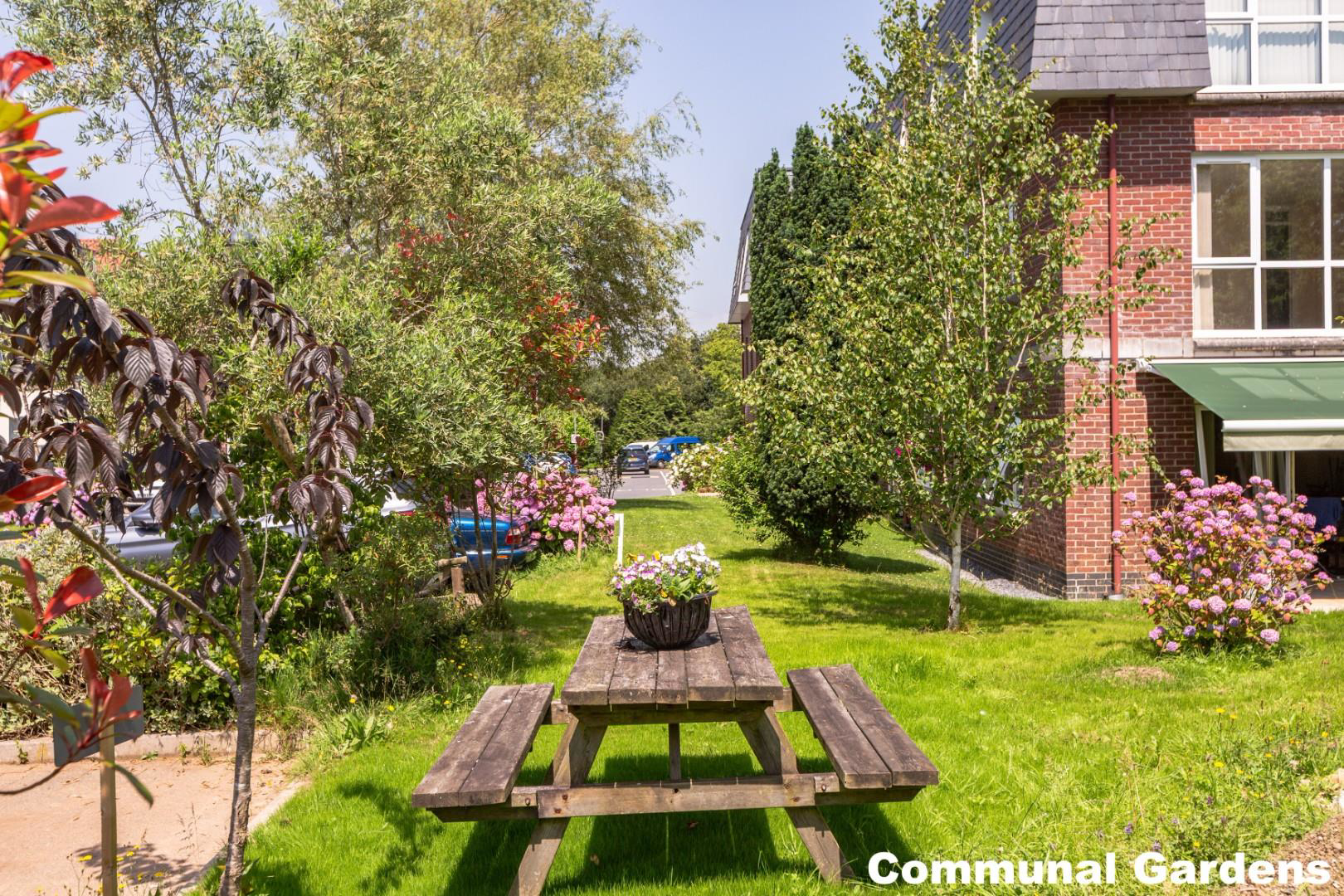 Willow court, Clyne Common, Swansea, photo 13