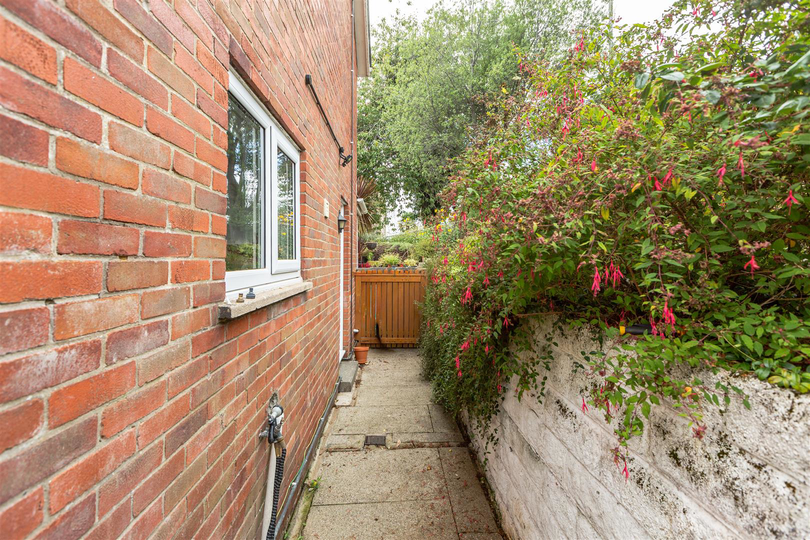 Photo 30