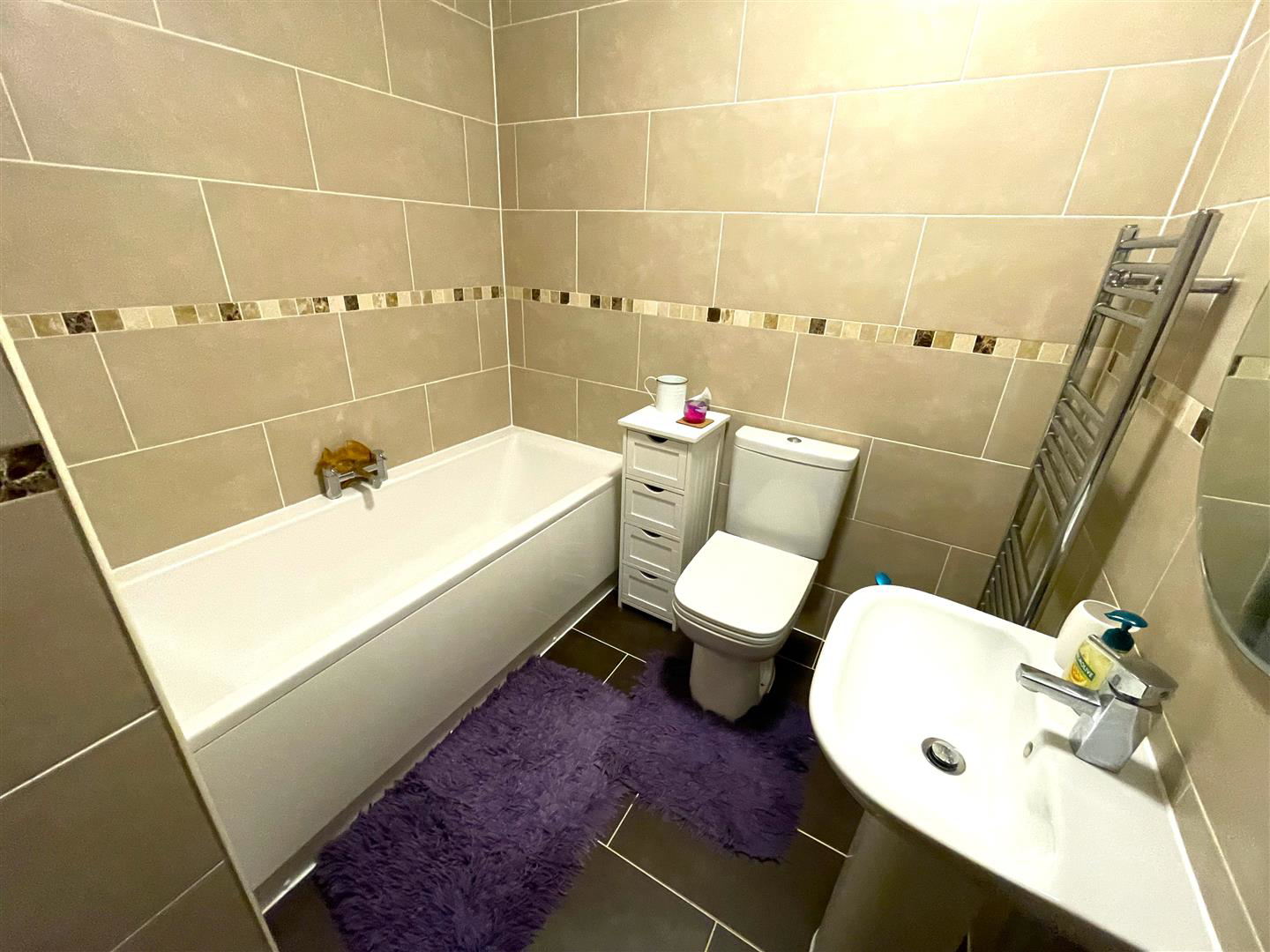 Llys Y Foryd, Kidwelly, photo 18