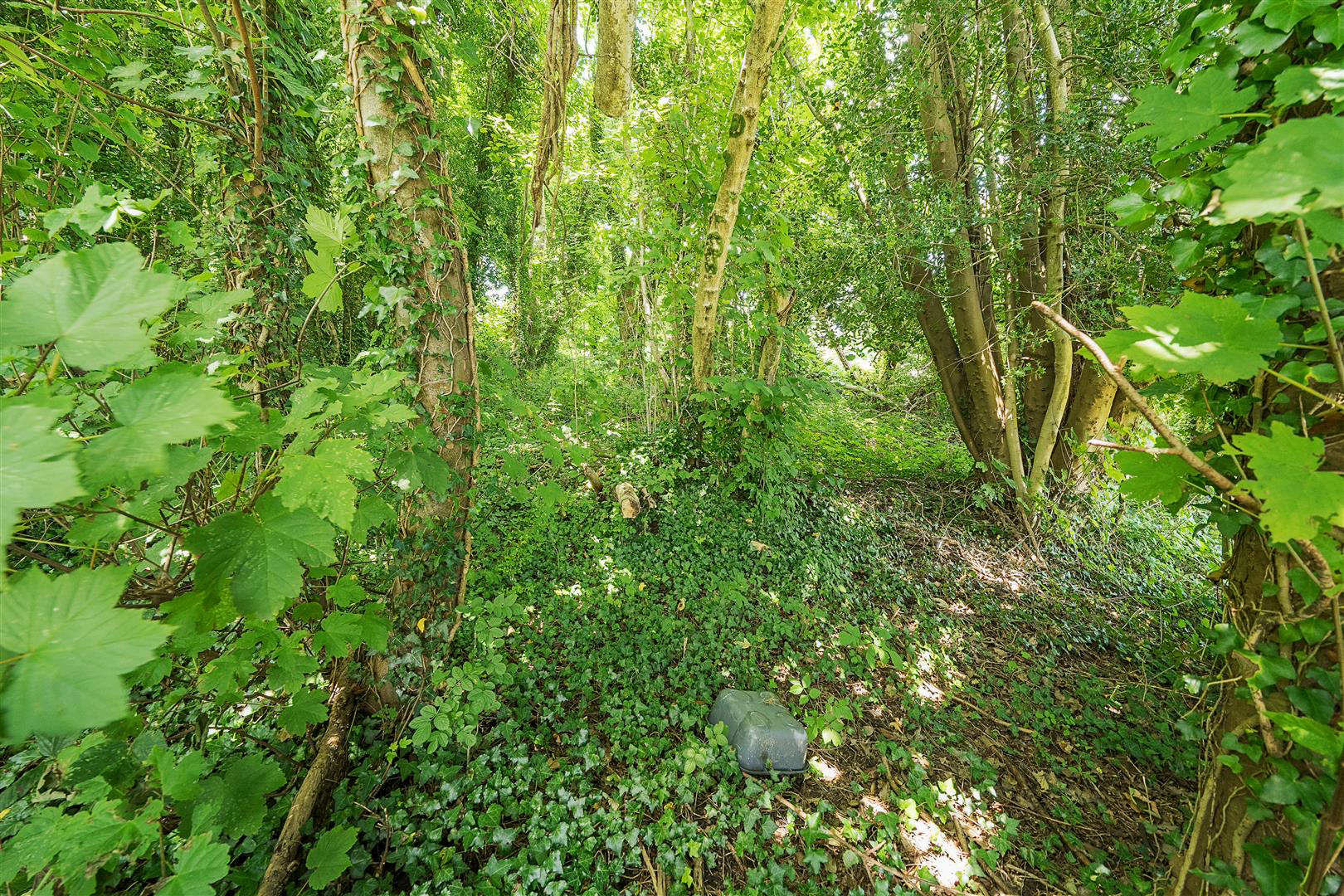 Yr Allt, Llangennech, Llanelli, photo 24