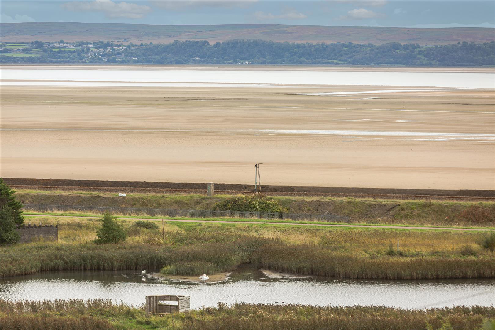 Myrtle Hill, Llanelli, photo 30