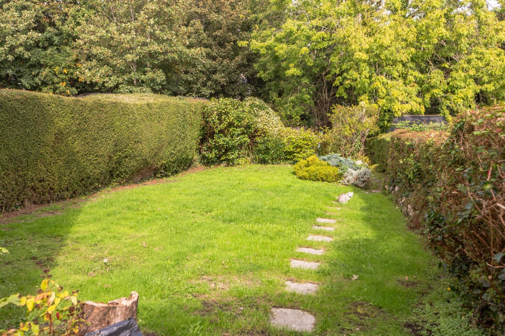 Newton Road, Newton, Mumbles, Swansea, photo 32