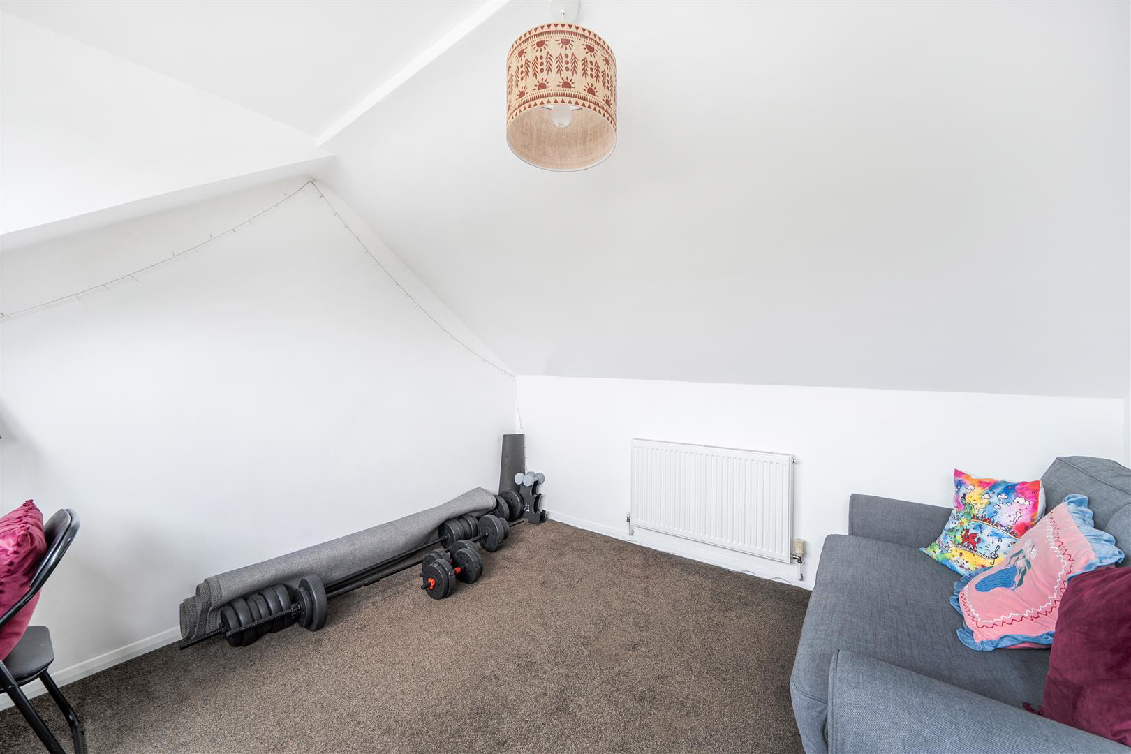 Langland Terrace, Brynmill, Swansea, photo 22