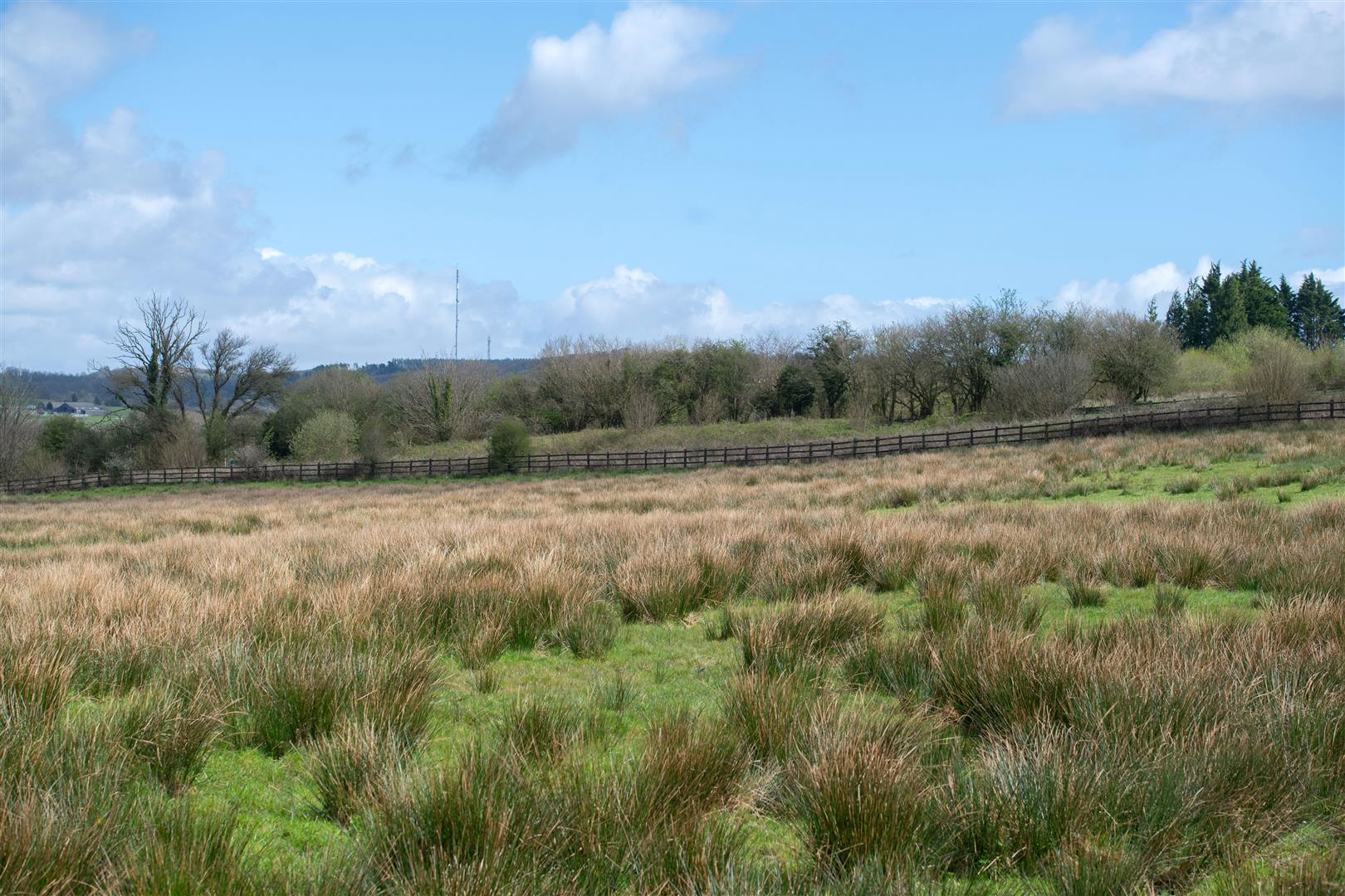 Heol Ddu Farm, Cefneithin, Llanelli, photo 35