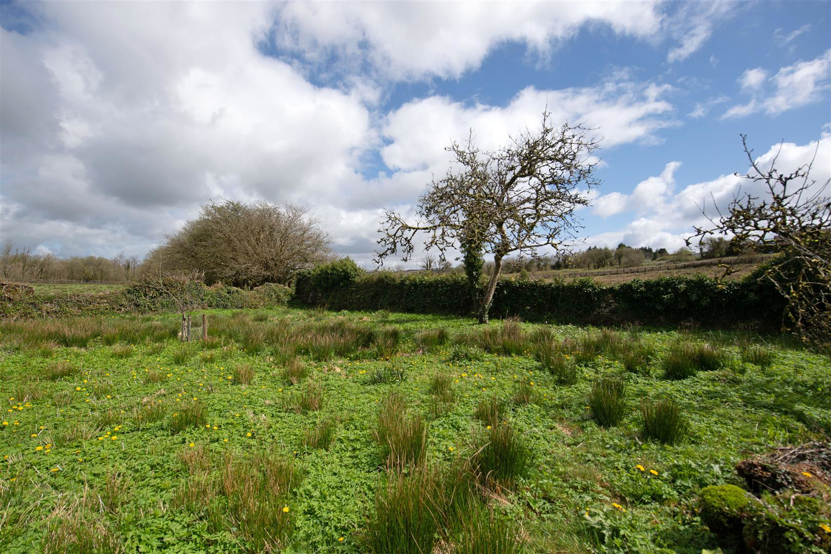 Heol Ddu Farm, Cefneithin, Llanelli, photo 44