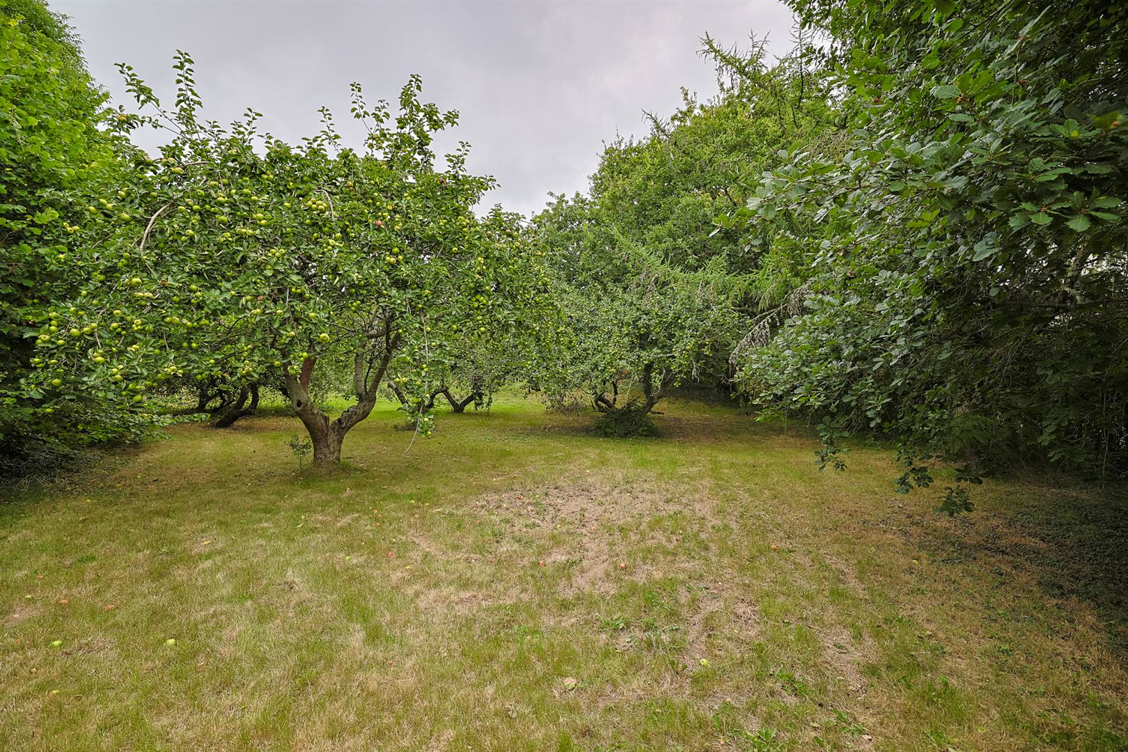 Fairways, 22, Ar Y Bryn, Pembrey, Burry Port, photo 20