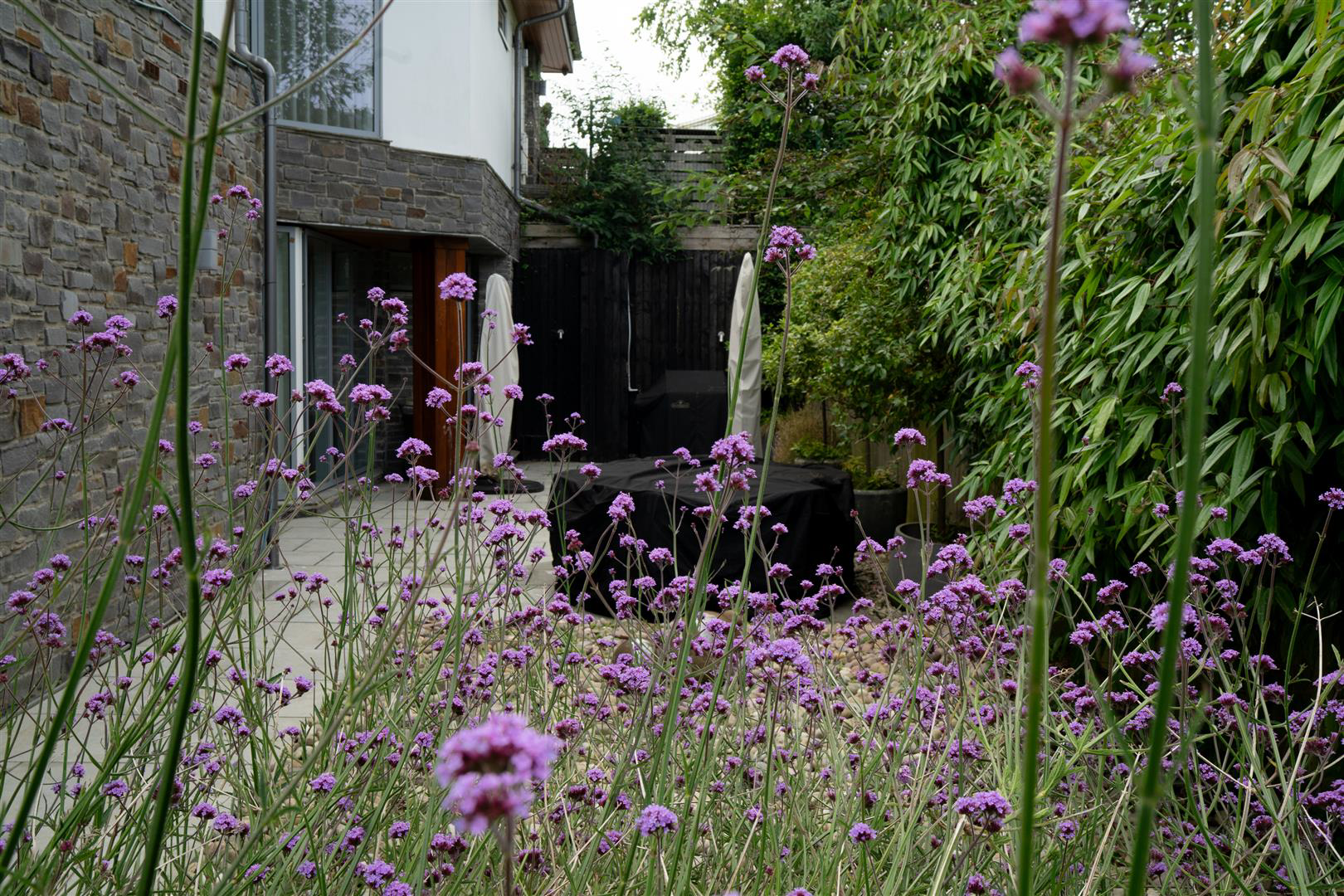 5 Westwinds, Langland, Swansea, photo 51
