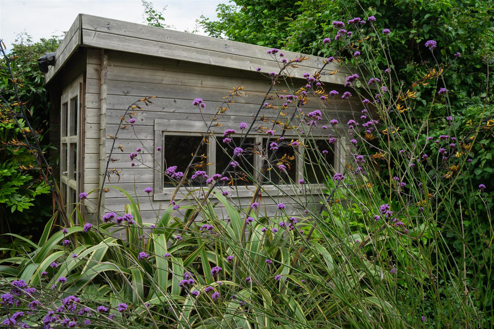 5 Westwinds, Langland, Swansea, photo 50