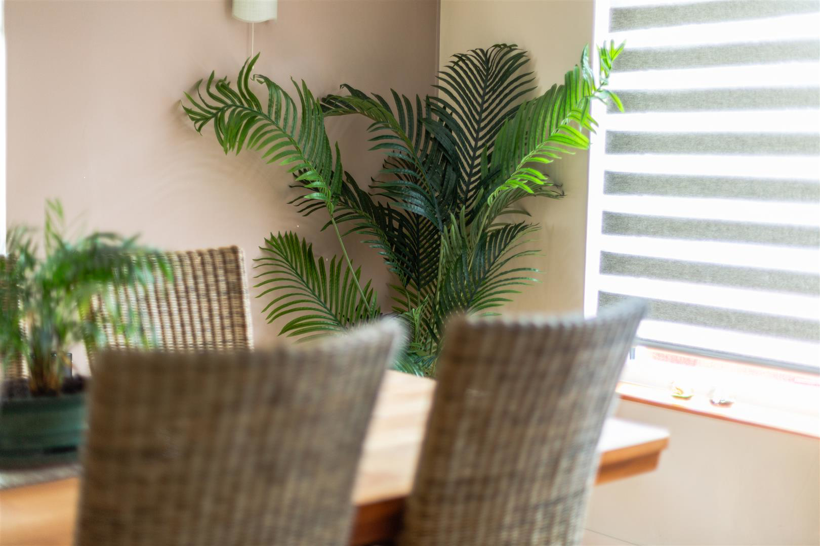 Photo 33