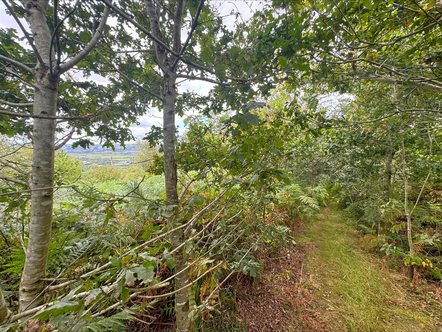 Pembrey, Burry Port, photo 55