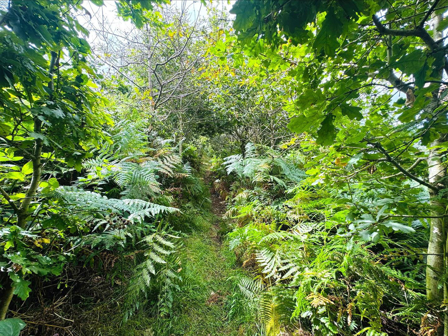 Pembrey, Burry Port, photo 56