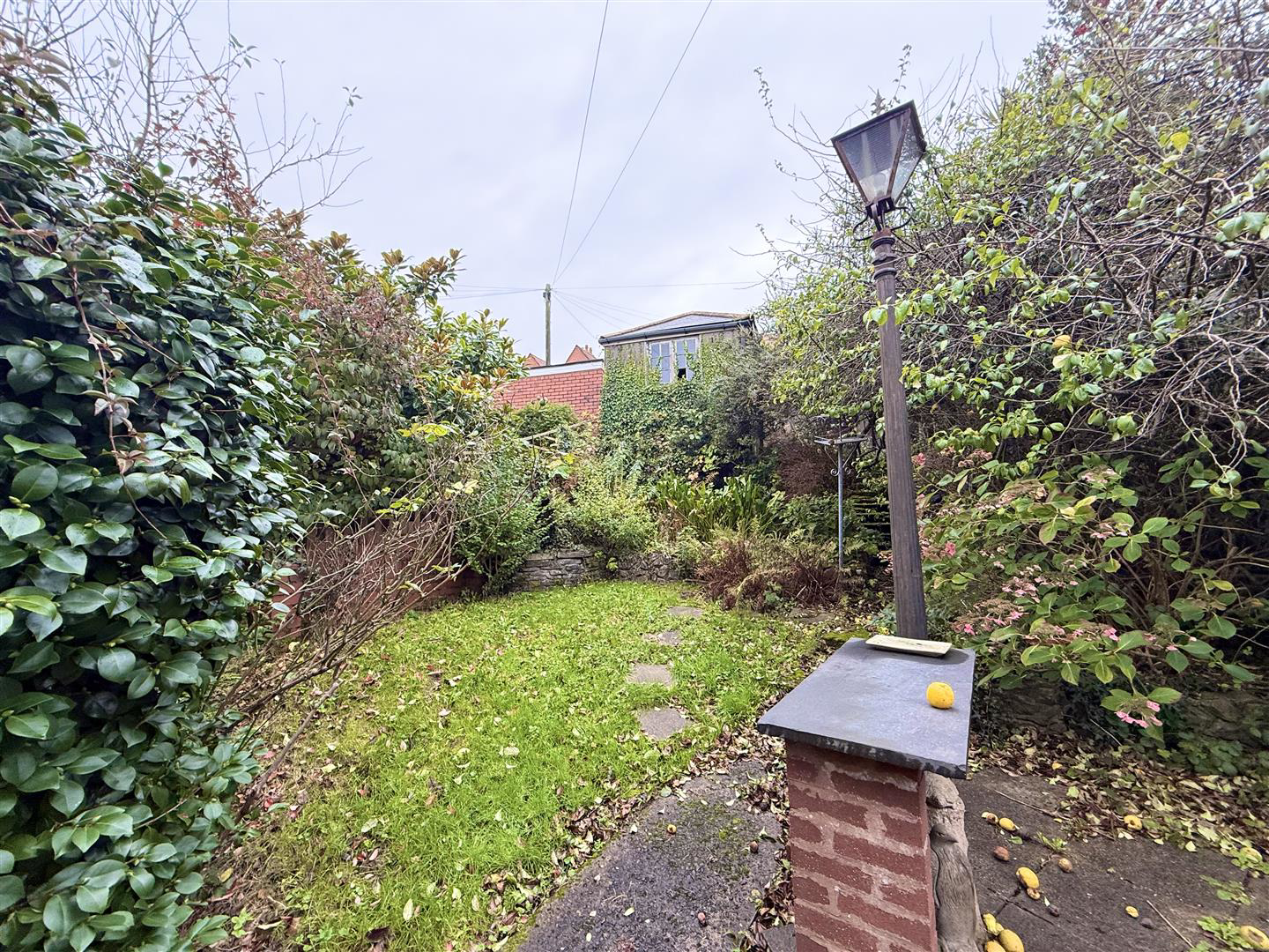 Photo 12