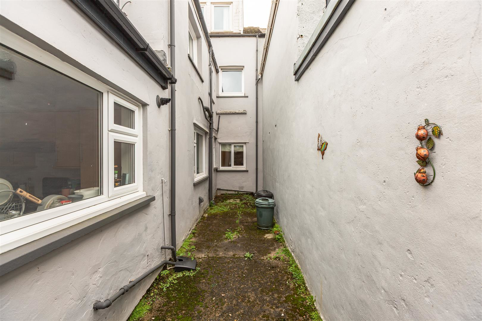 Montpelier Terrace, Mount Pleasant, Swansea, photo 16