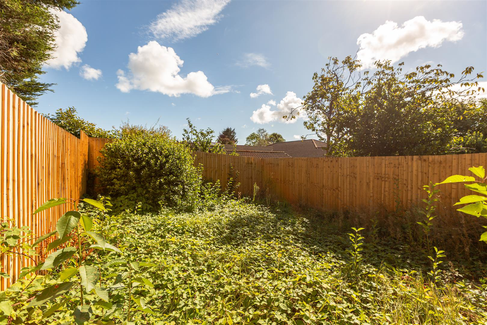 Wimmerfield Avenue, Killay, SWANSEA, photo 19