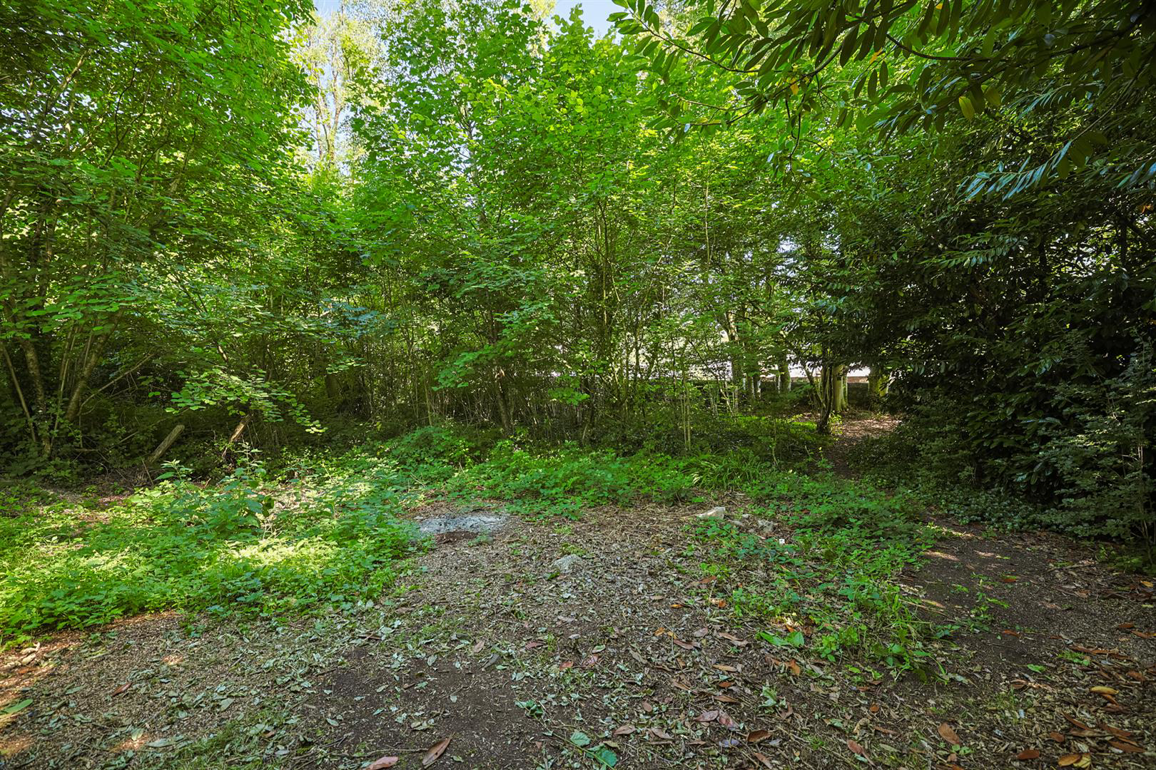Avondale House, Llys Tawel, Ystradgynlais, Swansea, photo 37
