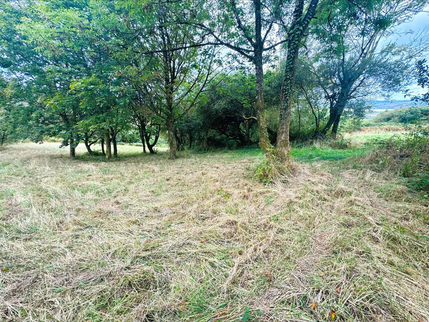 Pembrey, Burry Port, photo 46