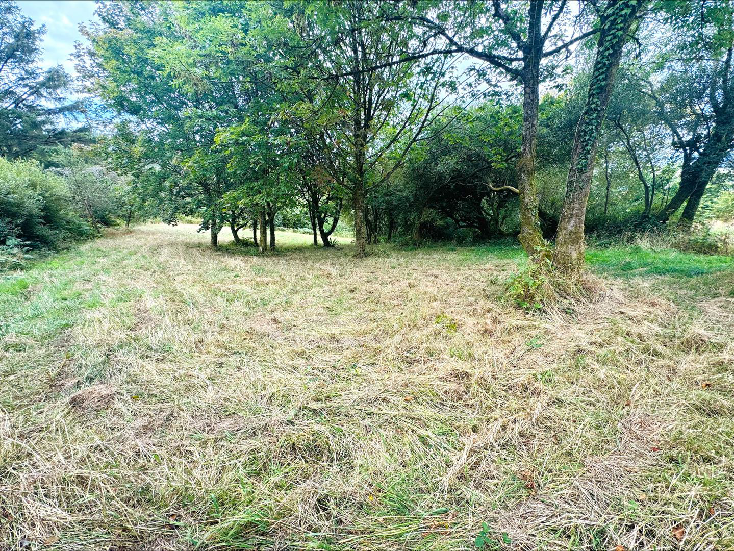 Pembrey, Burry Port, photo 49