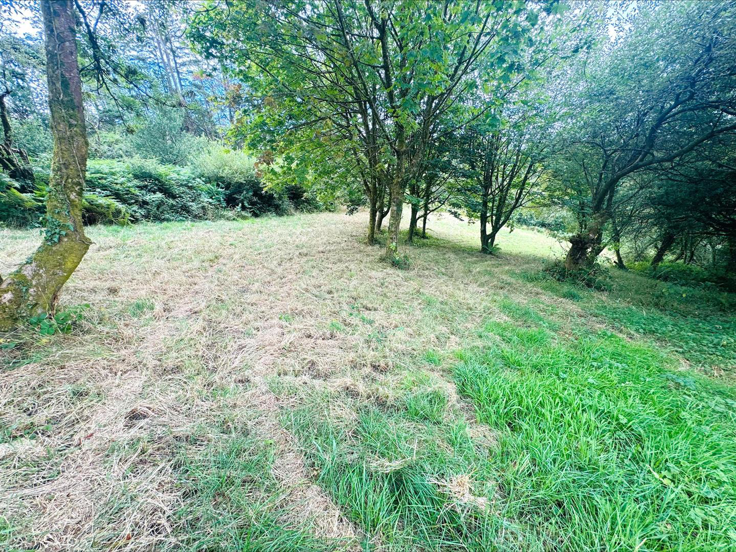 Pembrey, Burry Port, photo 47