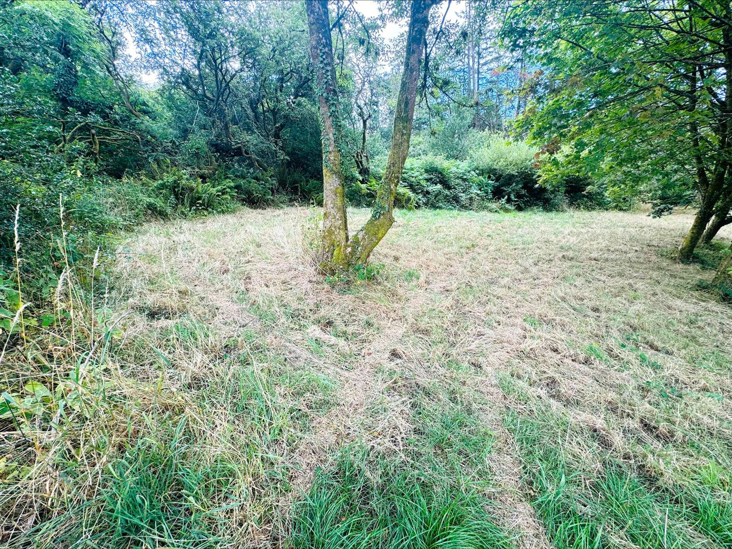 Pembrey, Burry Port, photo 48
