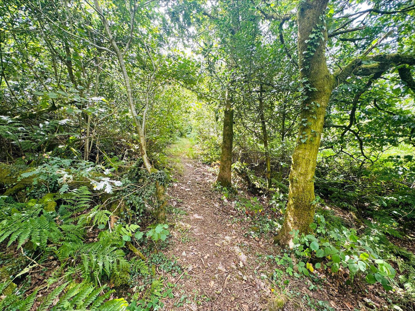 Pembrey, Burry Port, photo 51