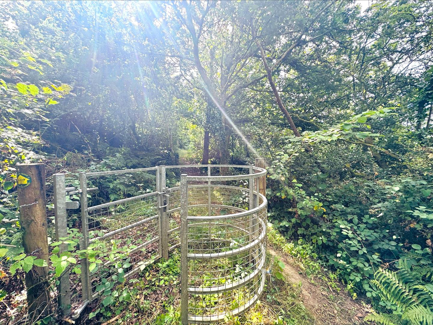 Pembrey, Burry Port, photo 52