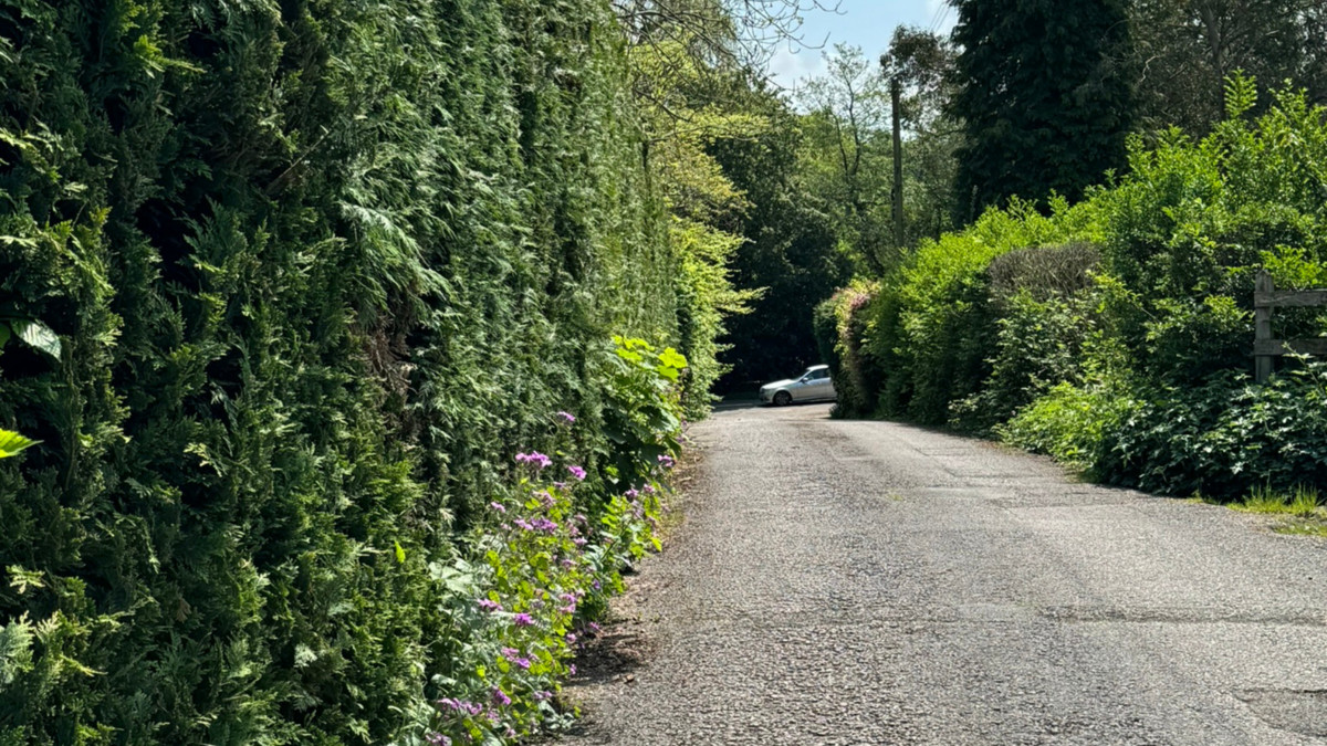 Carrick Lane, Yateley, GU46, photo 4