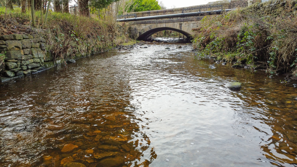 Becks Crossing Skipton Road, Colne, BB8, photo 11