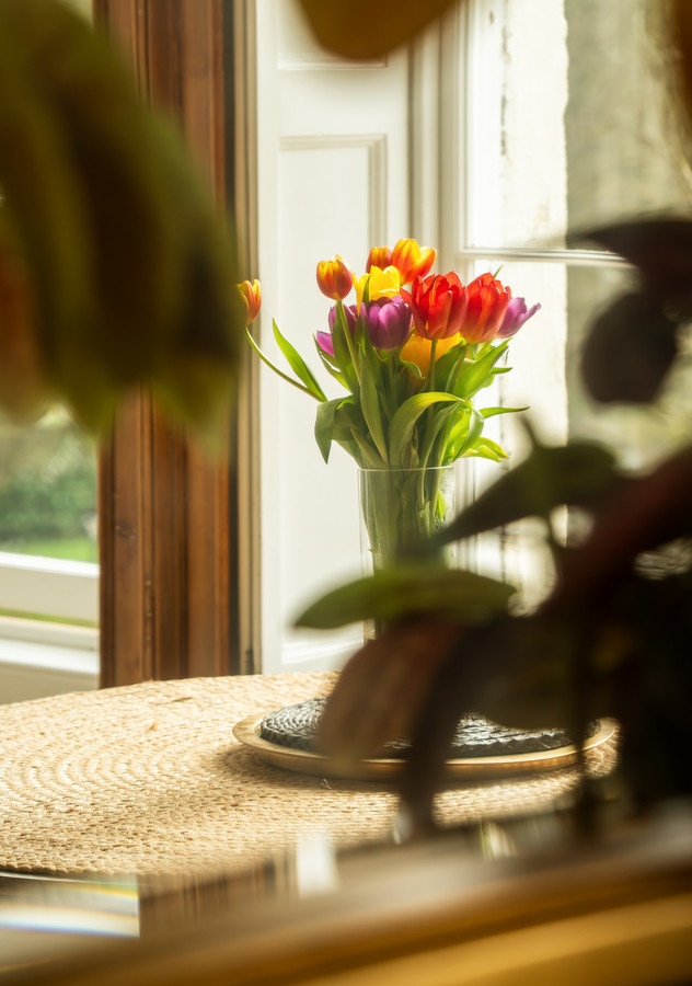 Beaufort East, Bath, BA1, photo 18