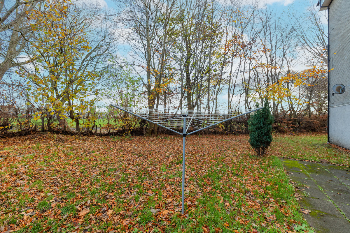 Abbotsford Drive, Grangemouth, FK3, photo 31