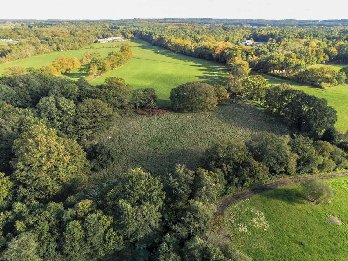 Honey Hill, Wokingham, RG40