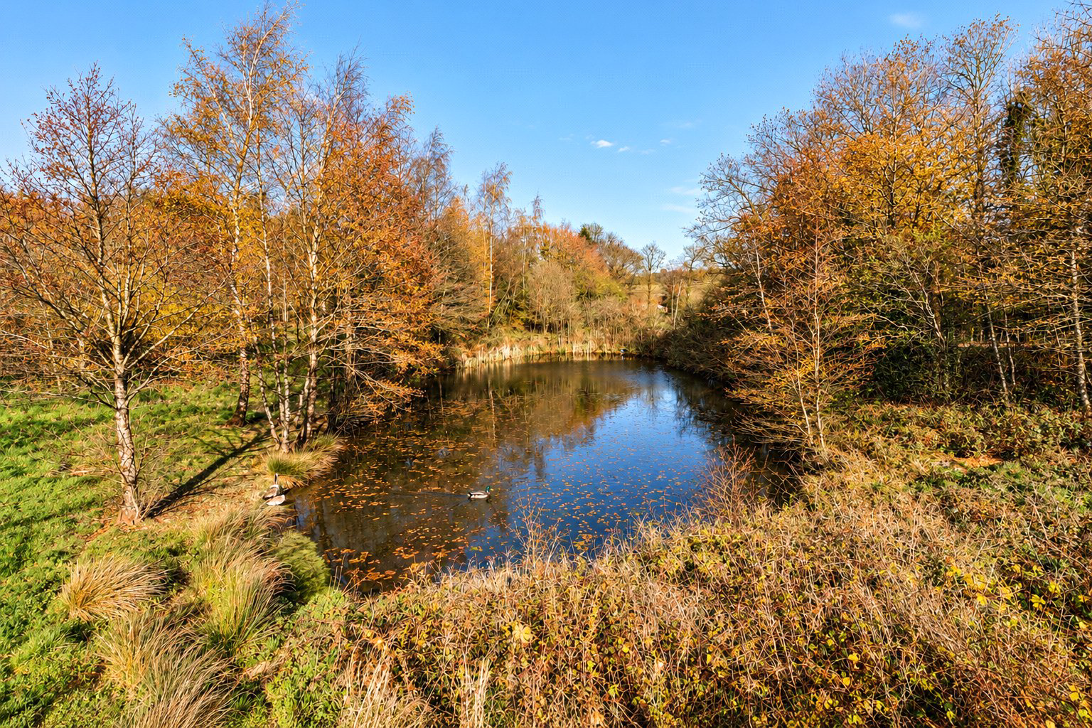 Sutton Orchard, Sandford, Crediton, Devon, EX17, photo 13