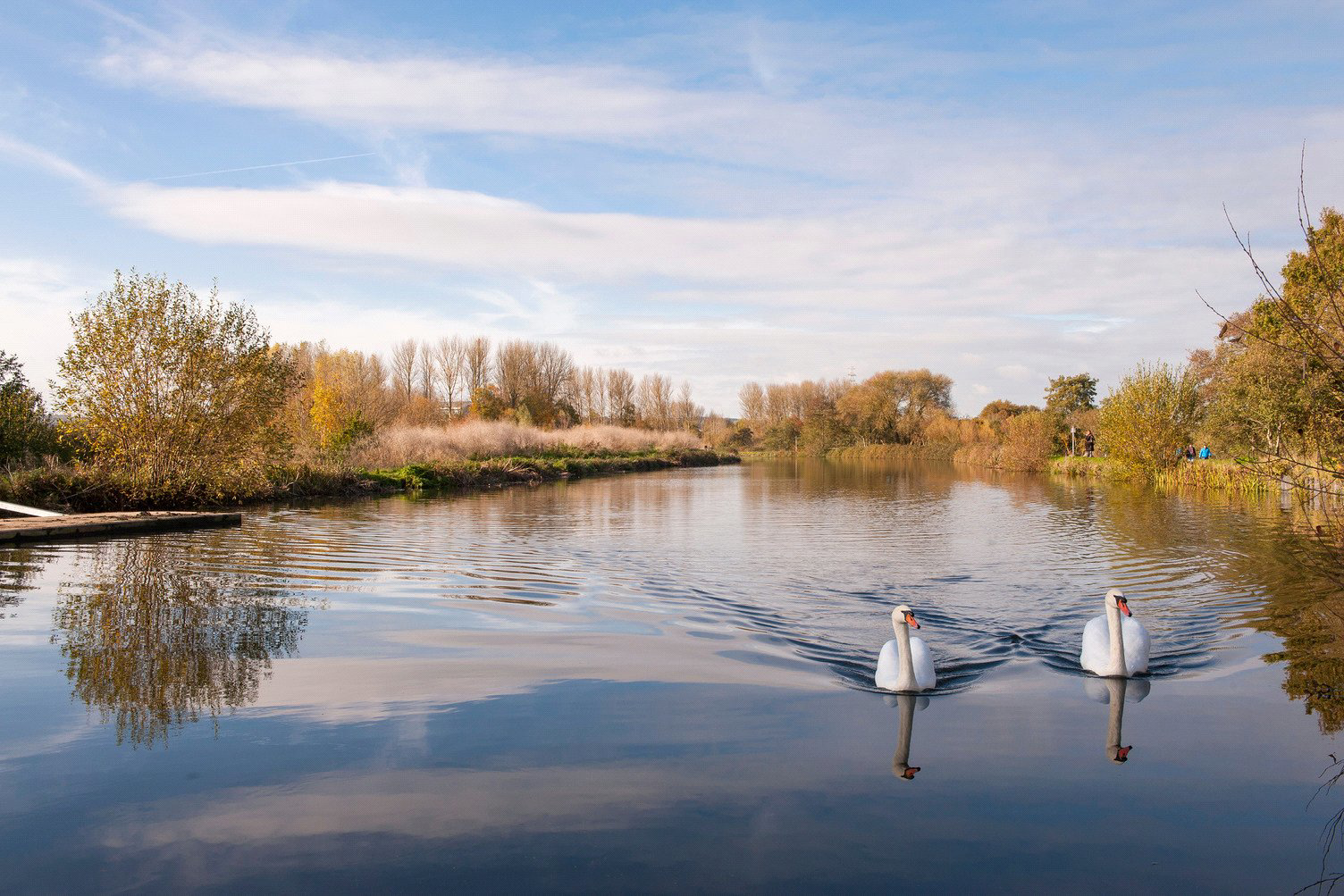 Haldon Reach, Trood Lane, Matford, Exeter, EX2, photo 2