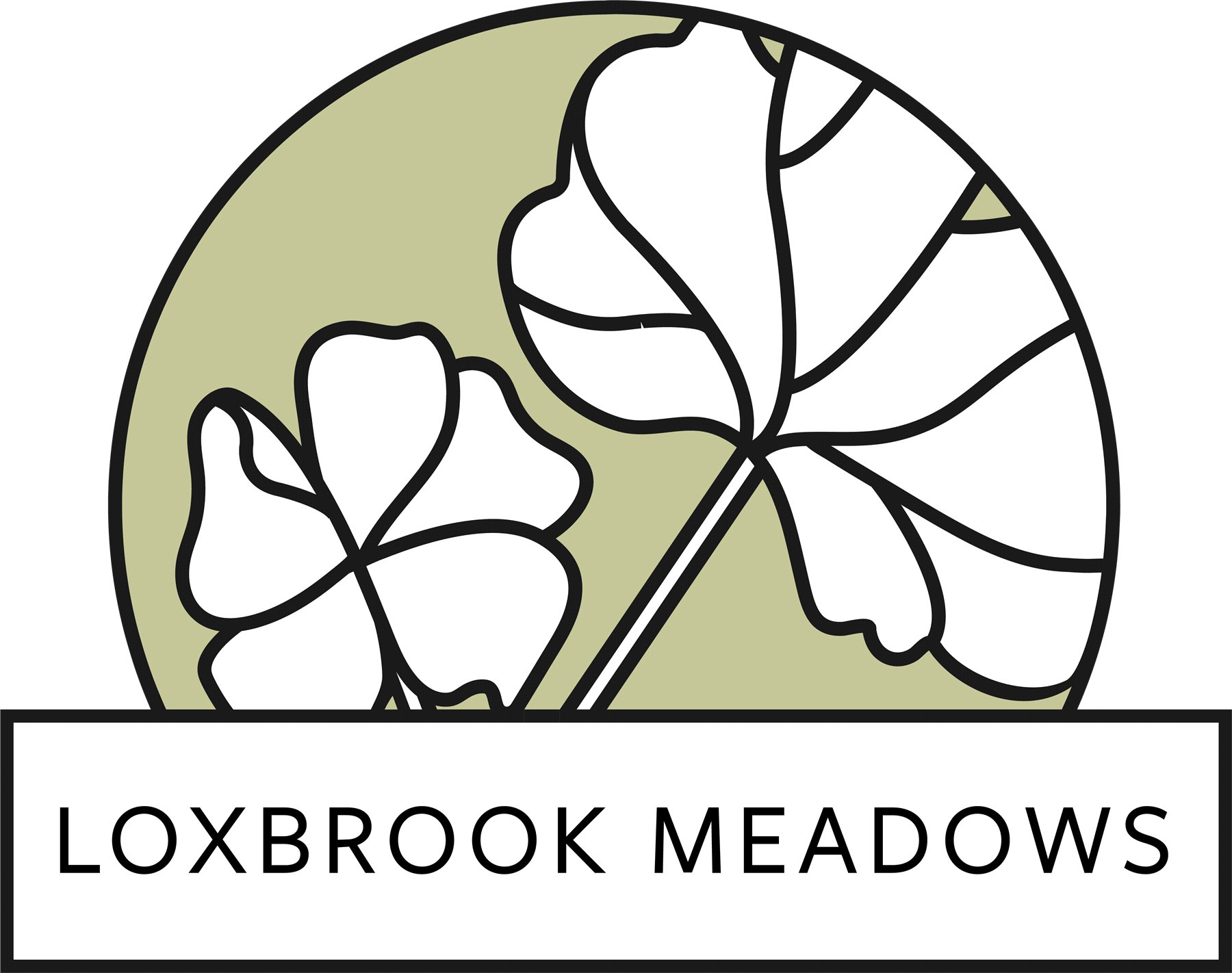 Loxbrook Meadows, Broadclyst, Exeter, EX5, photo 11