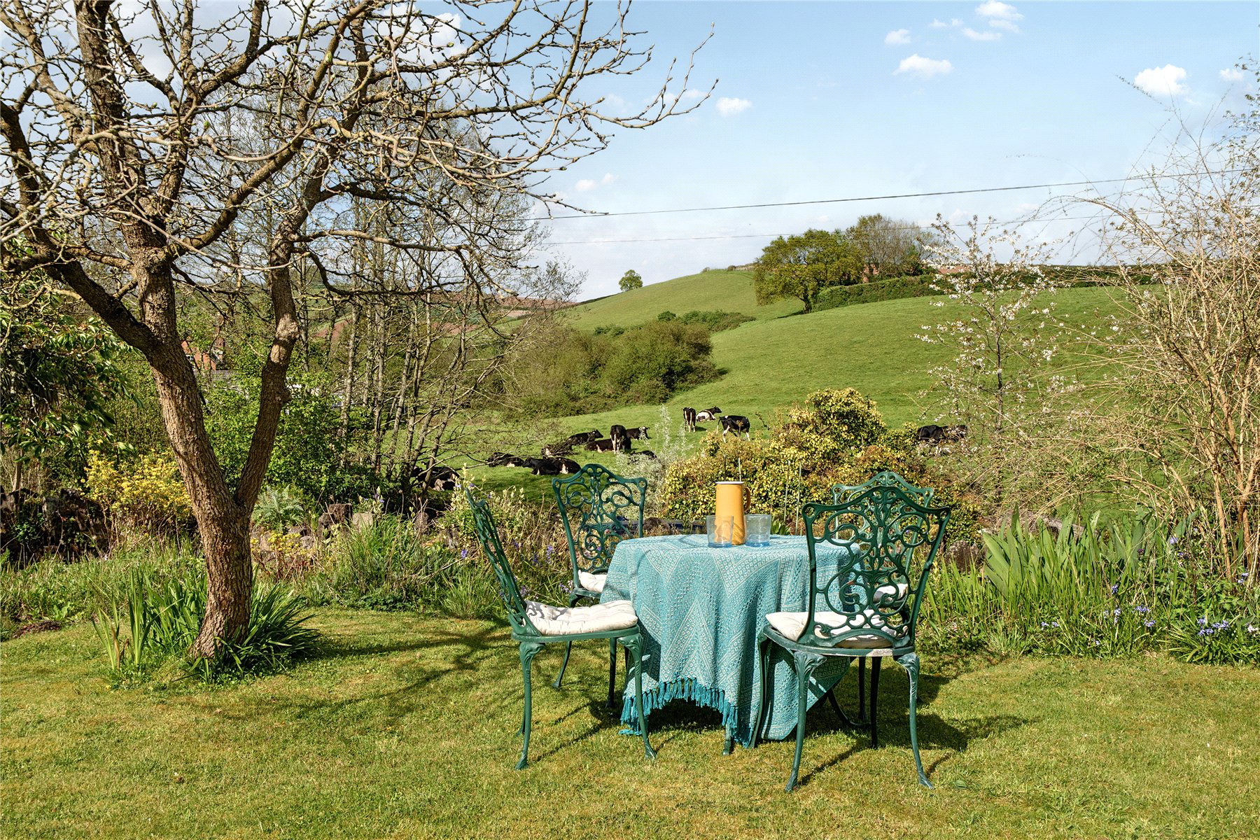 Dinneford Street, Thorverton, Exeter, EX5, photo 14