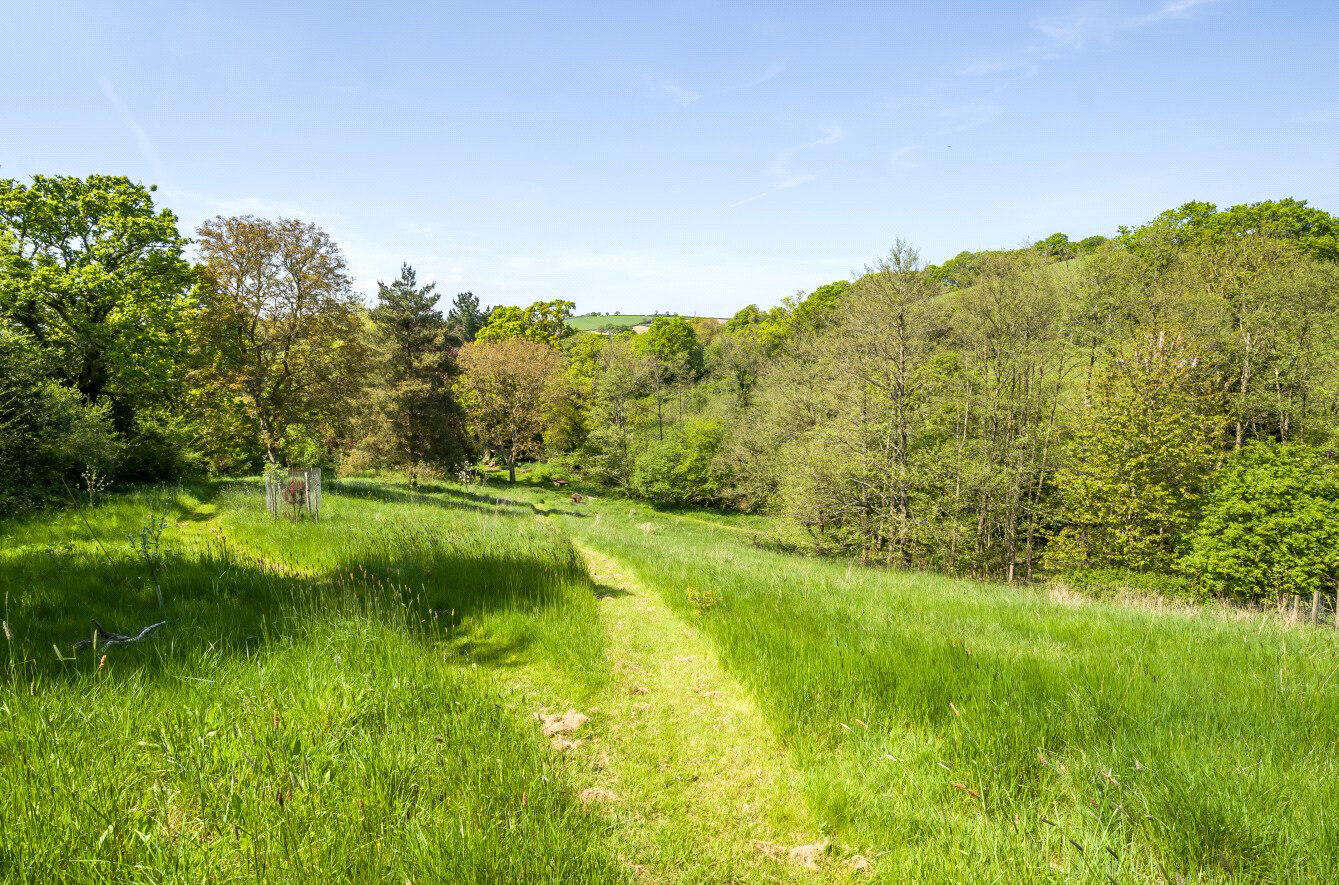 Lillybrook, Tedburn St. Mary, Exeter, EX6, photo 8