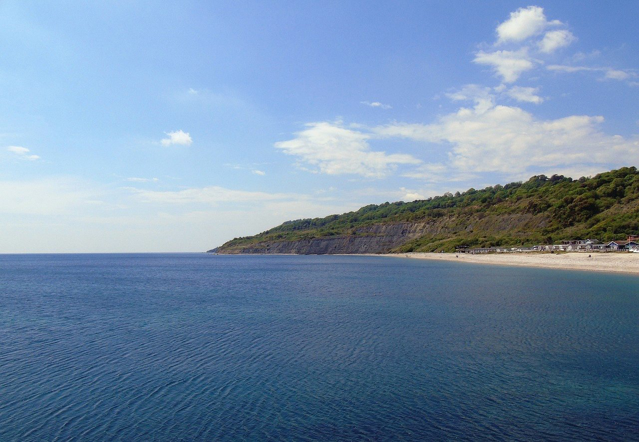 Photo 12