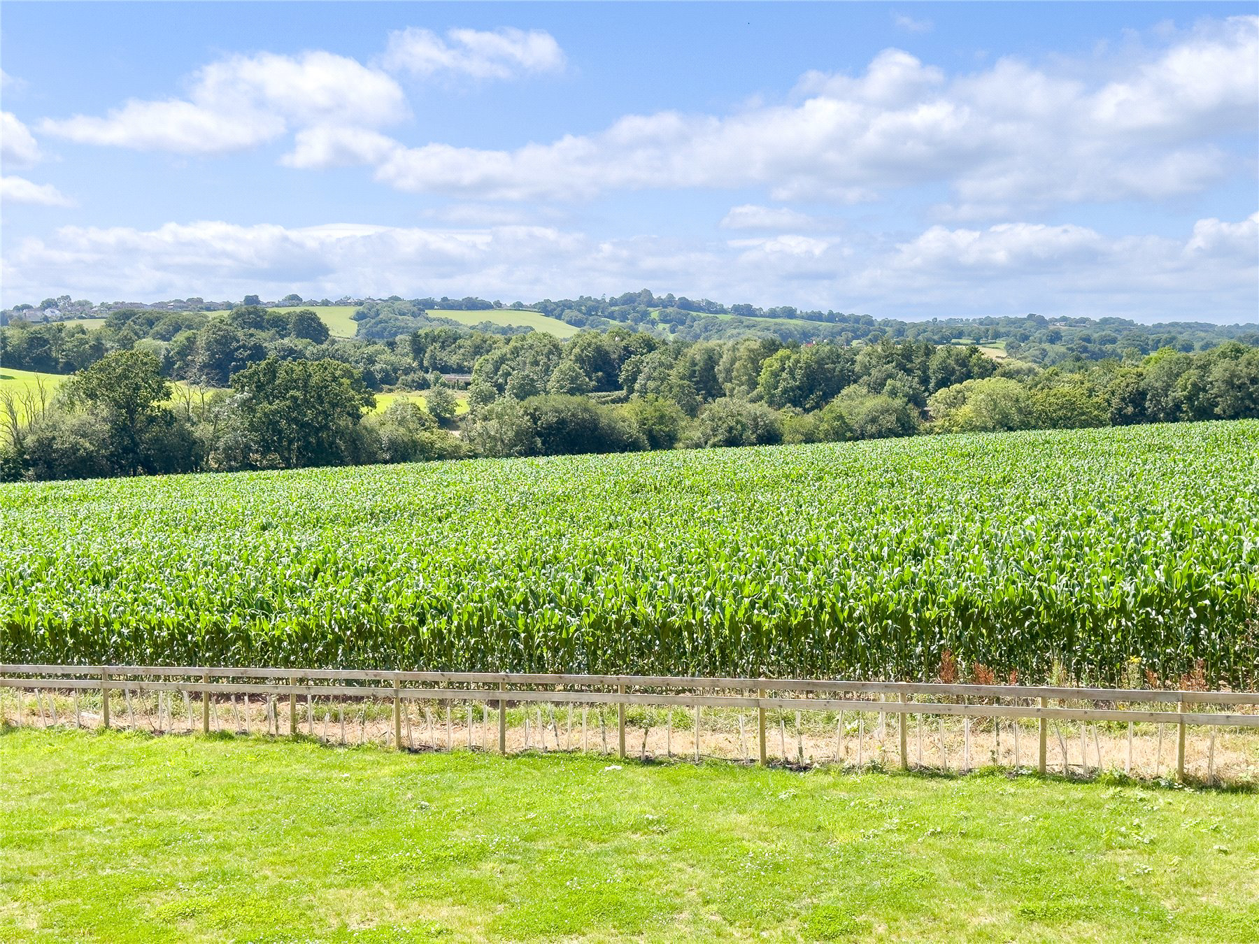 Kerswell Barton Farm, Broadclyst, Exeter, EX5, photo 5