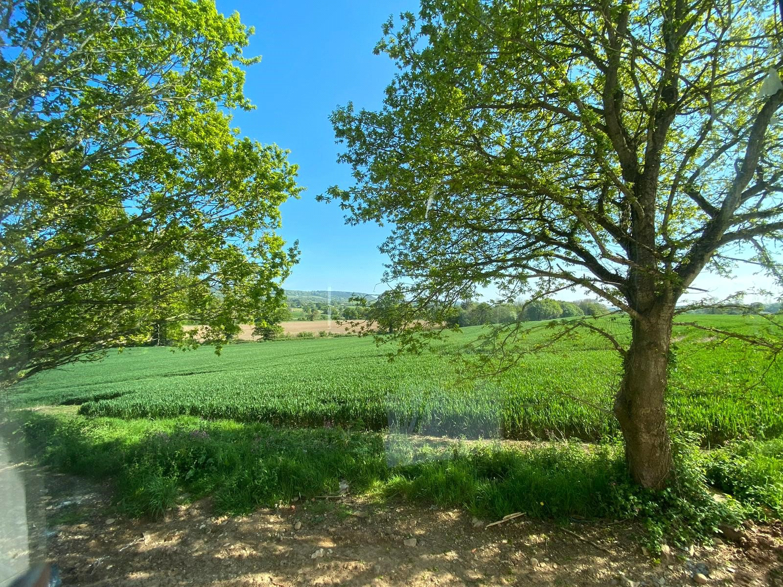 Salston Manor, Ottery St Mary, Devon, EX11, photo 7