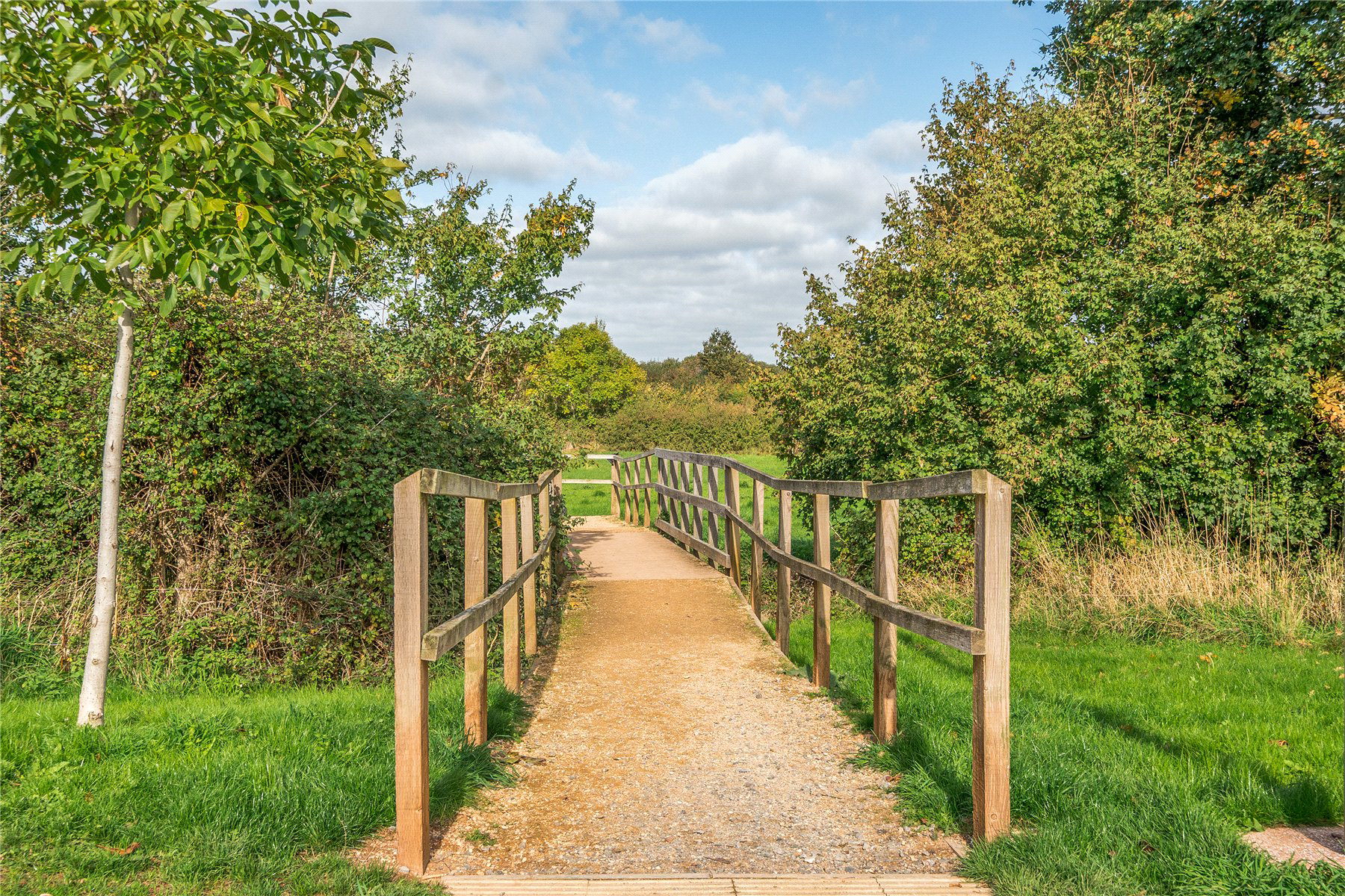Barnade View, Tithebarn, Exeter, EX1, photo 2