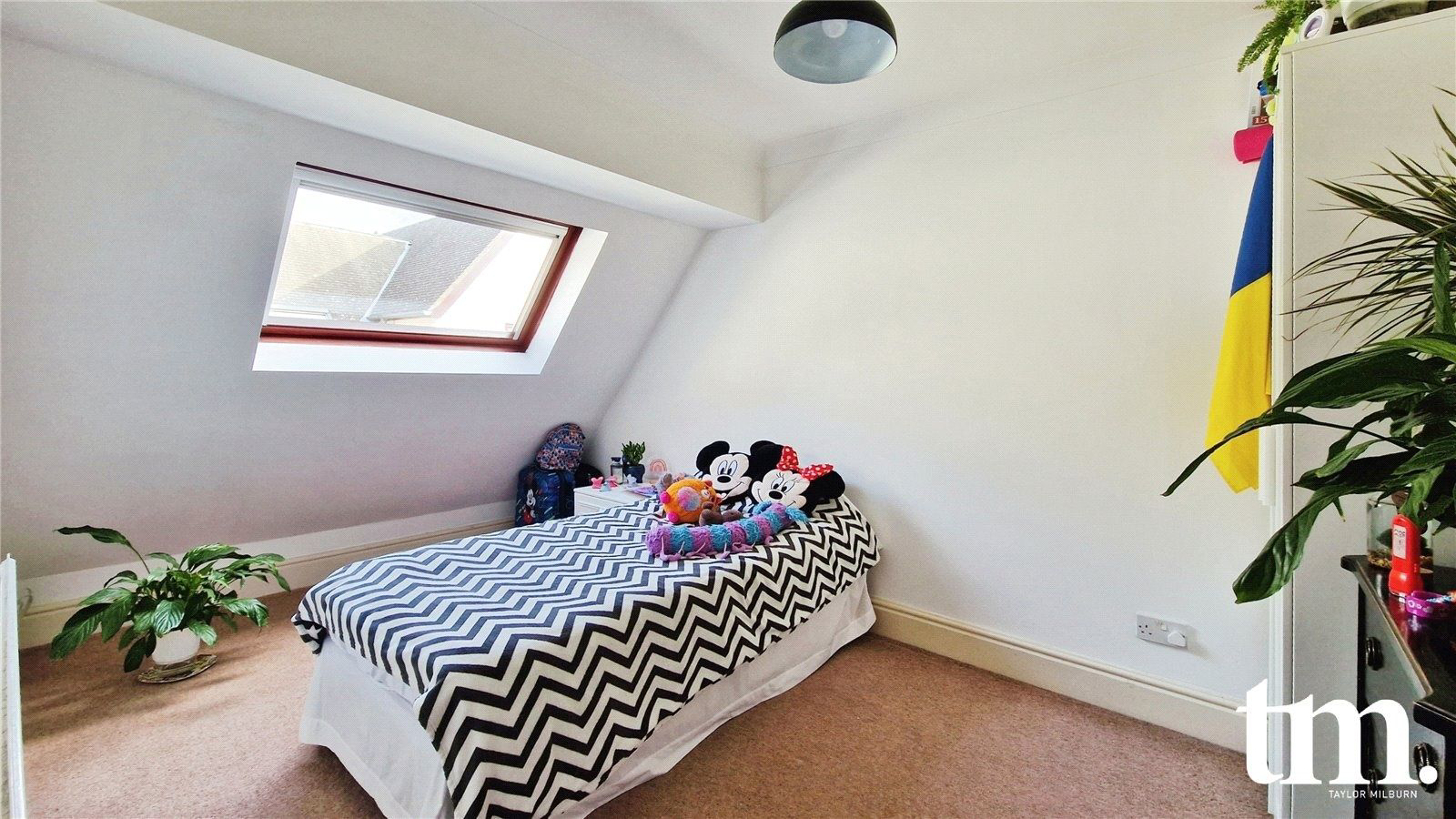 Hadham Road, Bishop's Stortford, CM23 2PT, photo 7