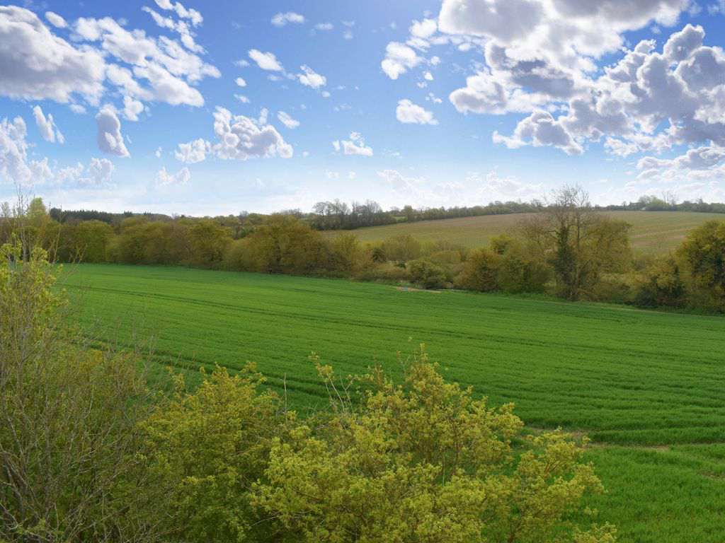 Elers Way, Thaxted, Dunmow, CM6 2FN, photo 2
